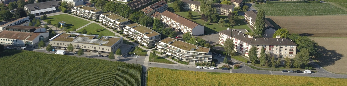 Vue aérienne de Meinier